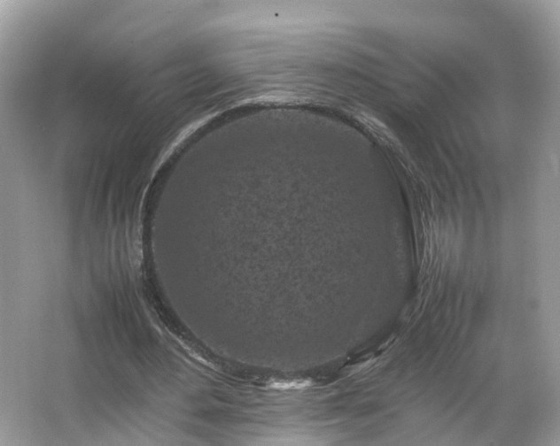 X0000066100484200603131234