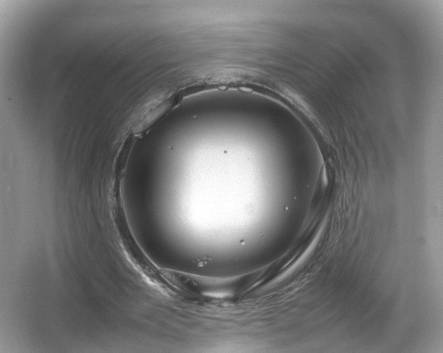 X0000066100485200603131234