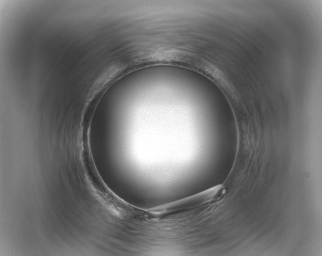 X0000066100486200603131234