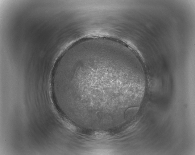 X0000066100487200603131234