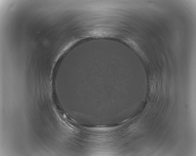 X0000066100488200603131234