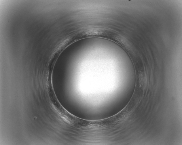 X0000066100490200603131234