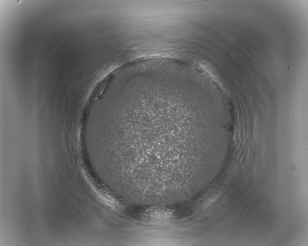 X0000066100491200603131234