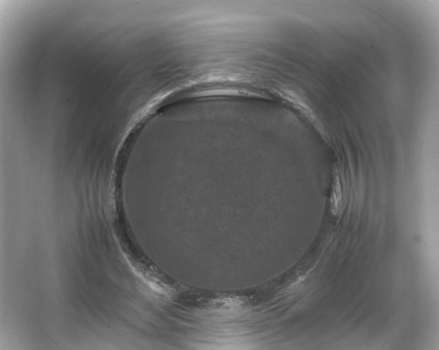 X0000066100492200603131234