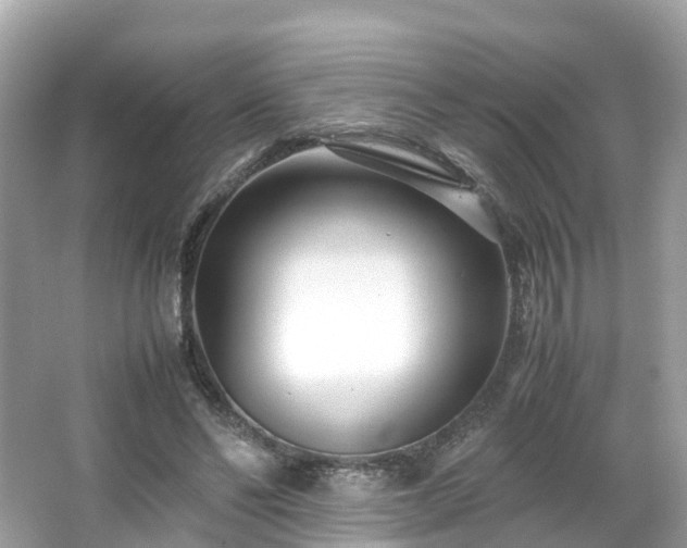 X0000066100494200603131234