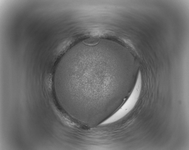 X0000066100495200603131233