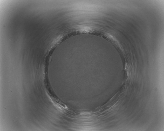 X0000066100496200603131233