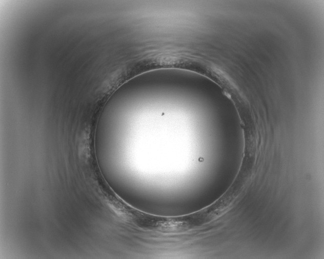 X0000066100497200603131233