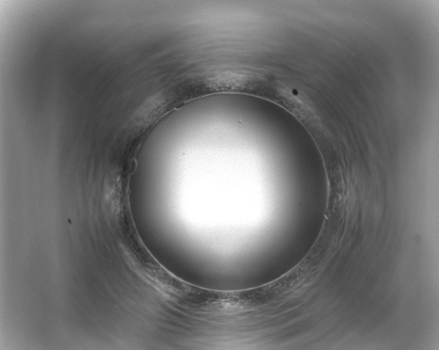 X0000066100498200603131233