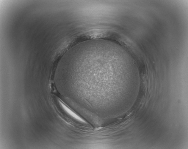 X0000066100499200603131233