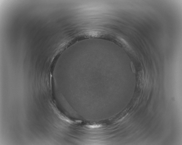 X0000066100500200603131233