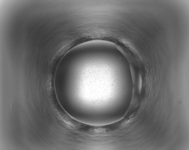 X0000066100501200603131233