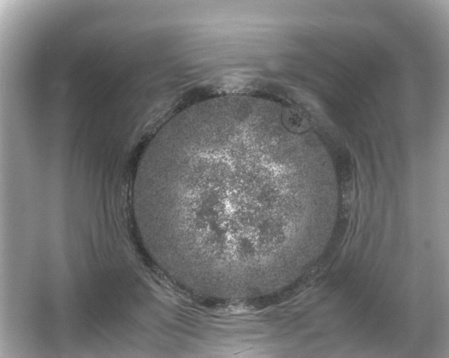 X0000066100503200603131233