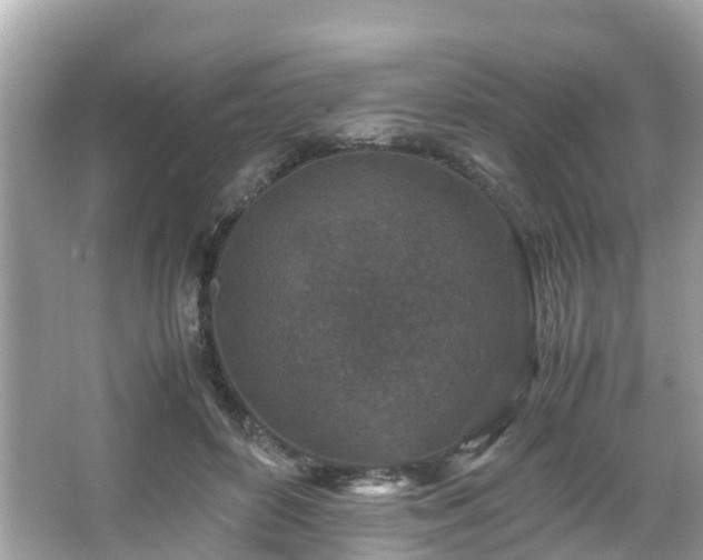 X0000066100504200603131233