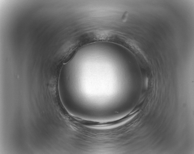 X0000066100505200603131233