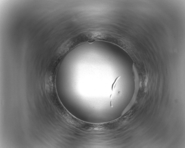 X0000066100506200603131233