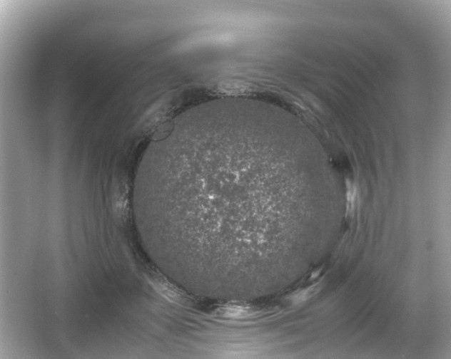 X0000066100507200603131233