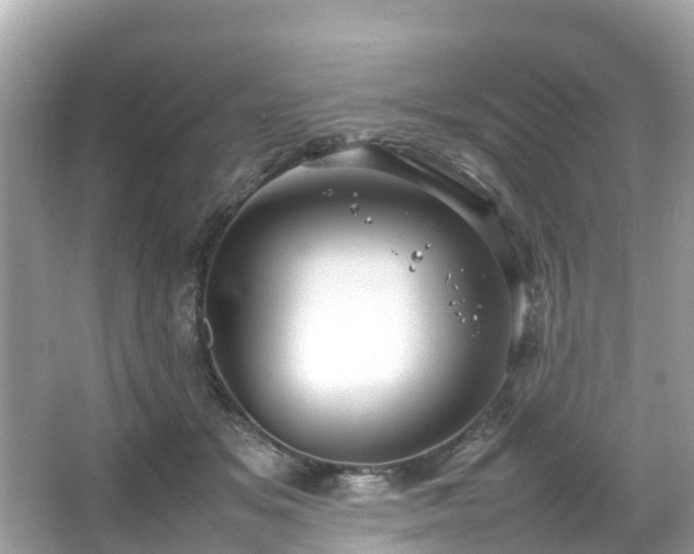 X0000066100509200603131233