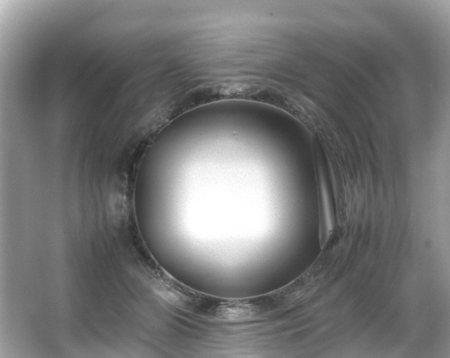 X0000066100510200603131233