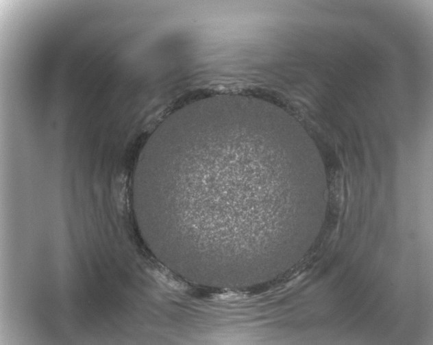 X0000066100511200603131233