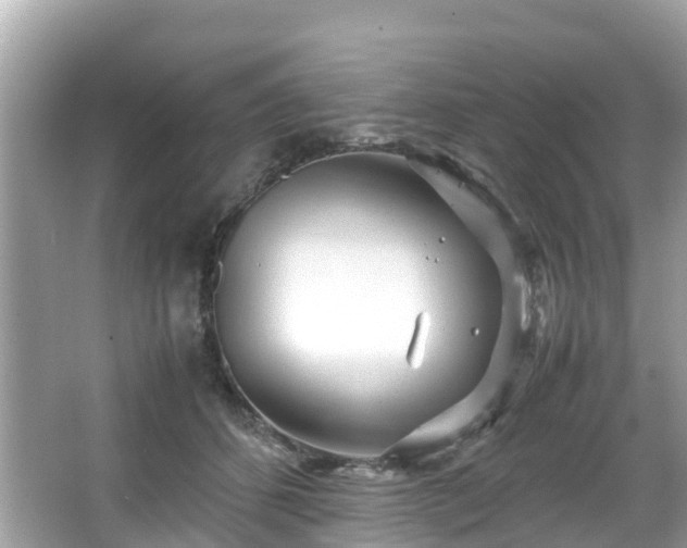 X0000066100512200603131233