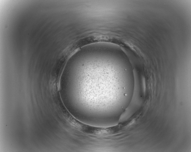 X0000066100513200603131233