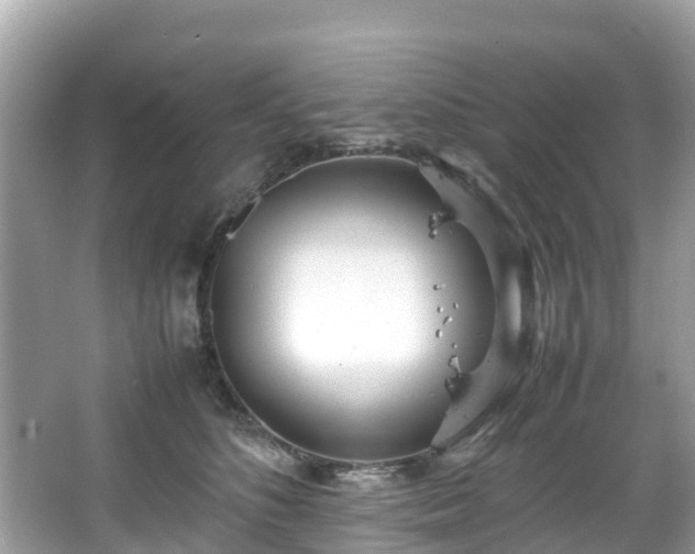 X0000066100516200603131233