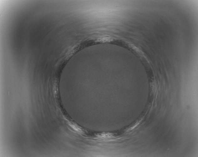 X0000066100517200603131233