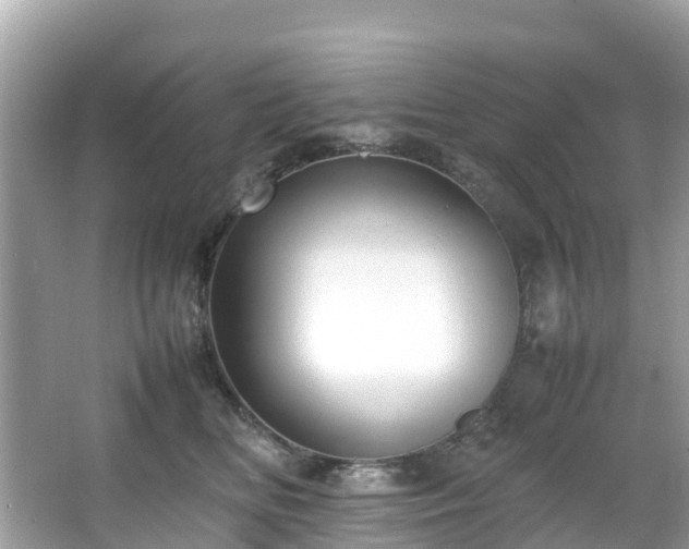 X0000066100518200603131233