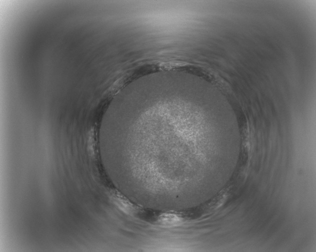 X0000066100519200603131233