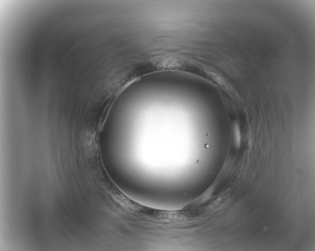 X0000066100521200603131233