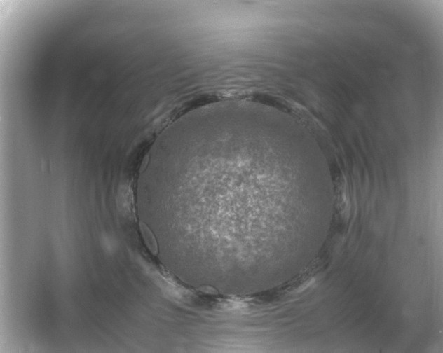 X0000066100523200603131233