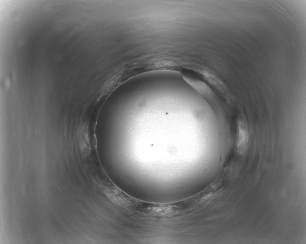 X0000066100524200603131233