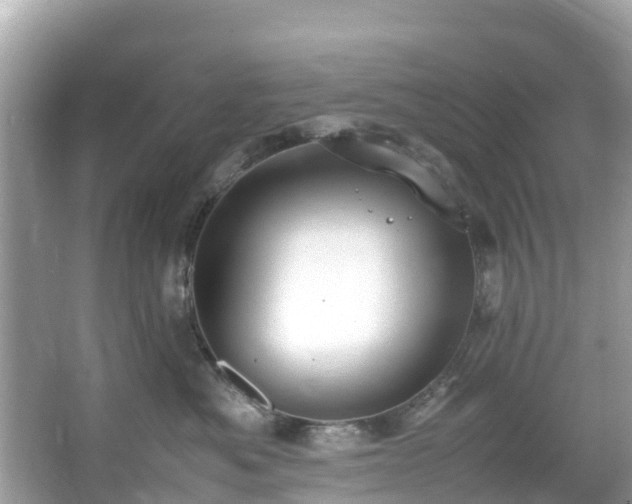 X0000066100525200603131233