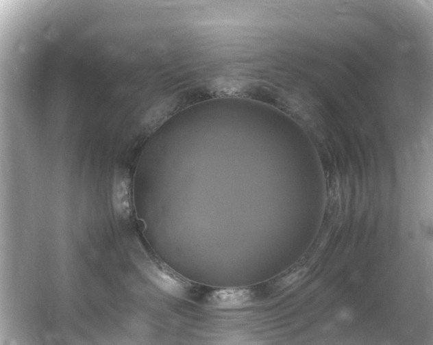 X0000066100526200603131233