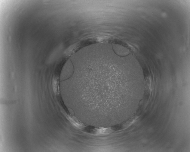 X0000066100527200603131233