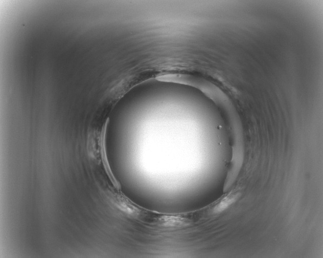 X0000066100528200603131233