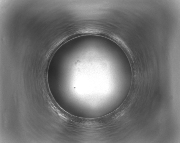 X0000066100529200603131232