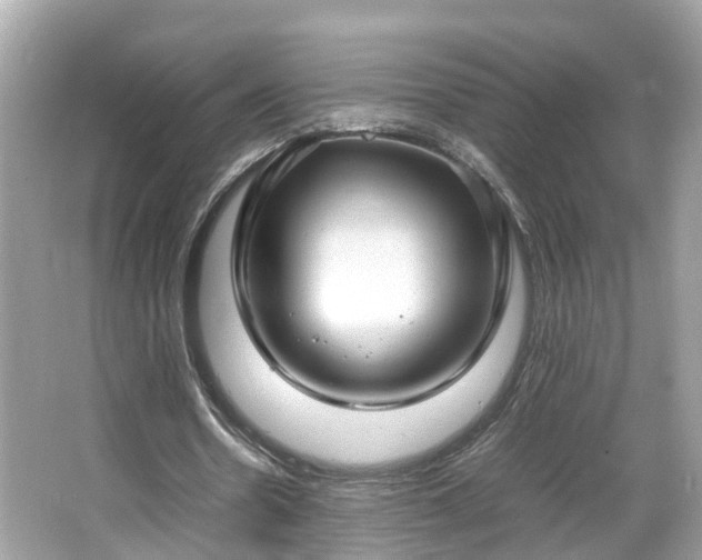 X0000066100530200603131232