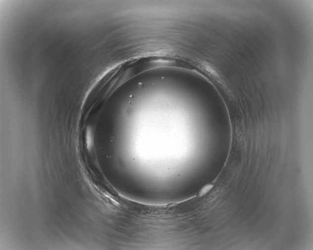 X0000066100532200603131232