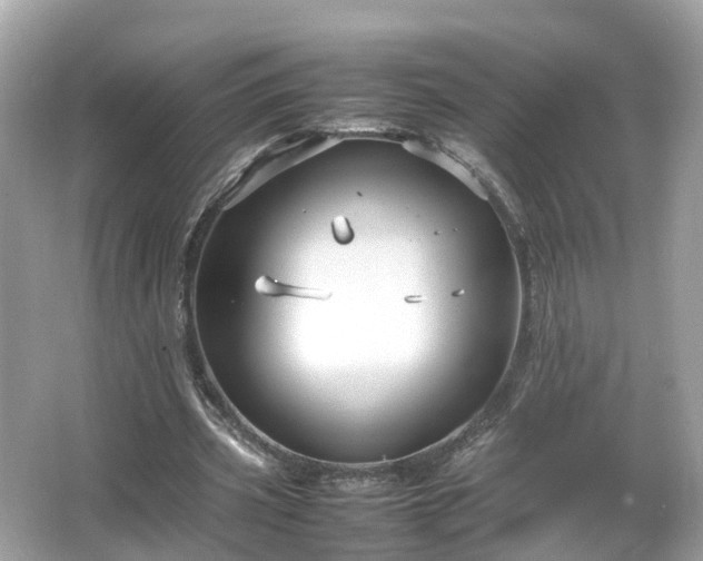 X0000066100533200603131232