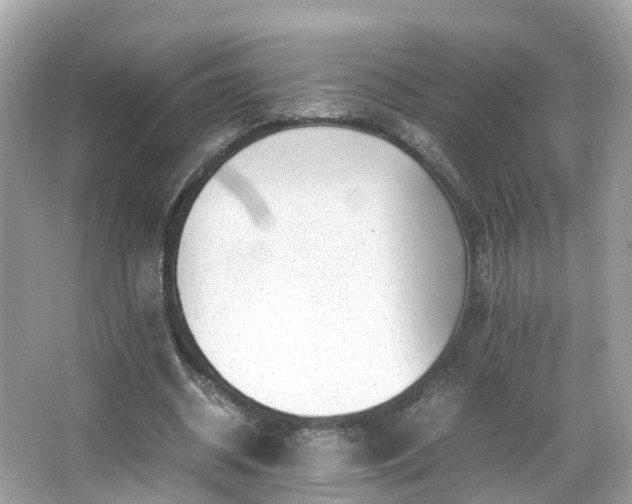 X0000066100534200603131232