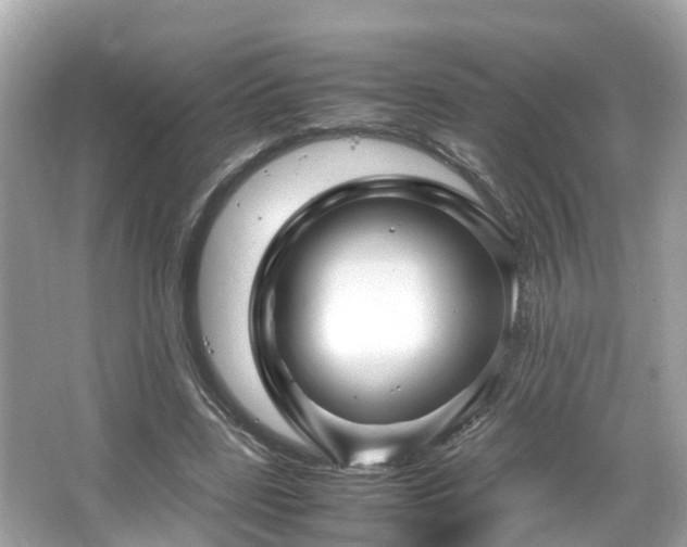 X0000066100539200603131232