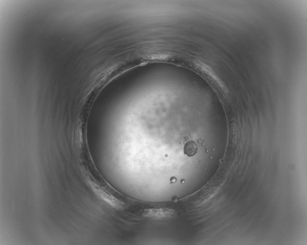 X0000066100541200603131232