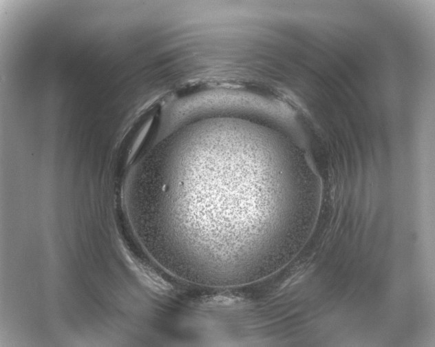 X0000066100542200603131232