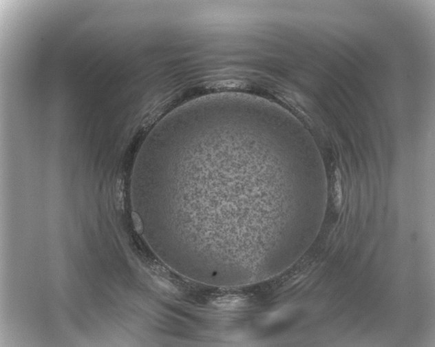 X0000066100551200603131233