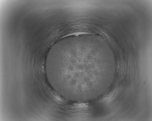 X0000066100553200603131233