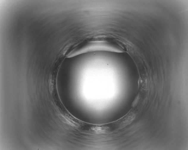 X0000066100558200603131233