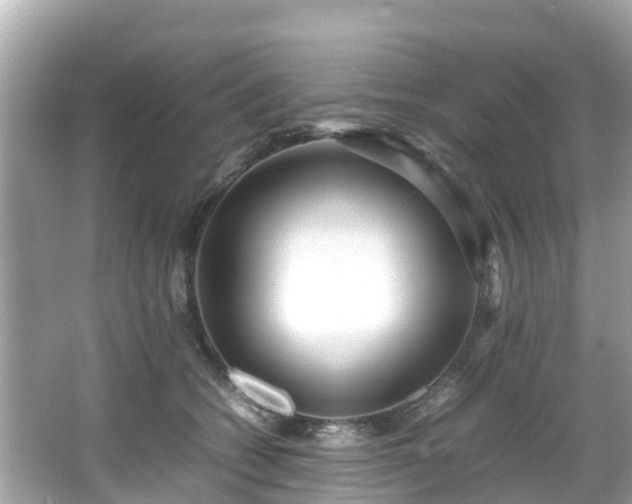 X0000066100562200603131233