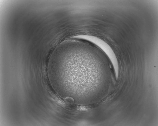 X0000066100565200603131233